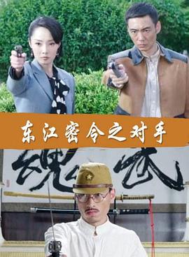 界首专业的seo优化